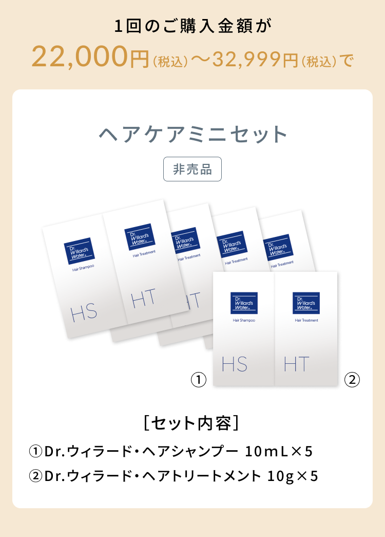 1回のご購入金額が22,000円（税込）〜32,999円（税込）で 
ヘアケアミニセット[非売品]