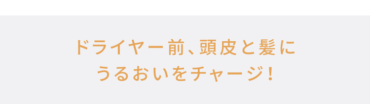 ドライヤー前、頭皮と髪にうるおいをチャージ！