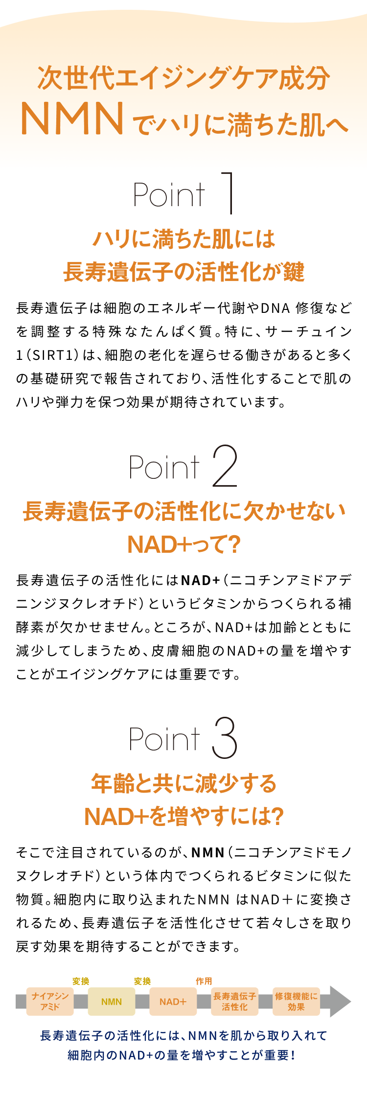 次世代エイジングケア成分NMNでハリに満ちた肌へ